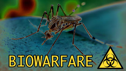 Zanzare usate come armi batteriologiche durante la seconda guerra mondiale  | NoGeoingegneria