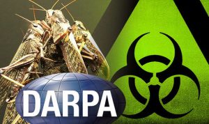 nogeoingegneria com climate change geopolitica darpa insect allies 1035340